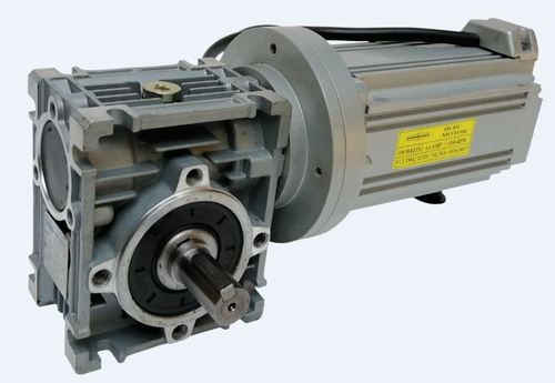 BLDC Worm Gear Motor