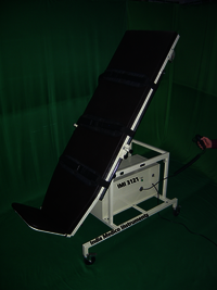 Tilt Table, Adult, Electric Operated, Imi- 3121 Age Group: Elders