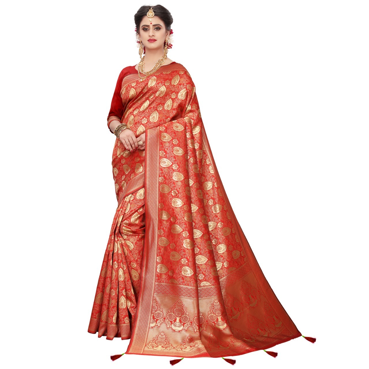 Banarasi Heavy Saree