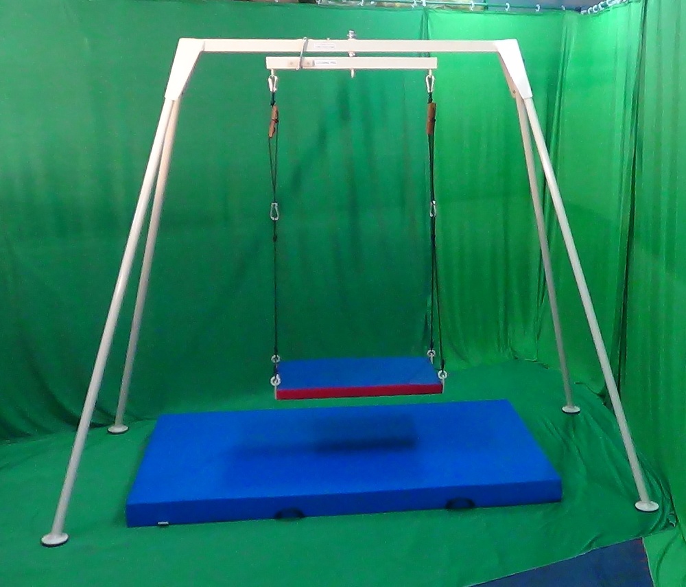 IMI 1512 Vestibulator-swing System With 5 Swings
