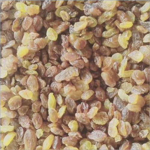 Dry Raisins - Common Cultivation, Sweet Taste | Immunity Boosting, Digestive Health Benefits, Strengthens Bones
