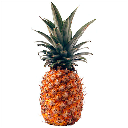 Pineapple Fruit