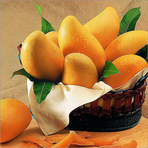 Yellow Ratnagiri Alphonso Mangoes