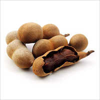 Common Fresh Tamarind