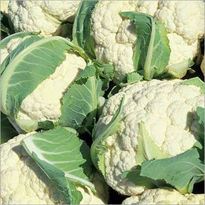 Fresh Cauliflower Shelf Life: 5-7 Days