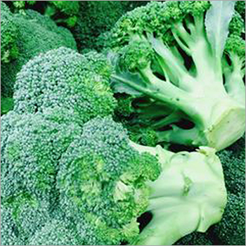 Fresh Broccoli Shelf Life: 5-7 Days