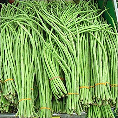 Yard Long Beans Shelf Life: 5-7 Days