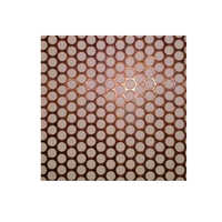 Copper Perforated Sheet