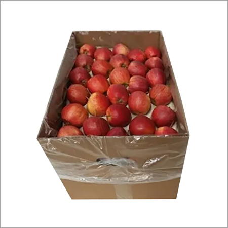Fresh apple royal gala Chile