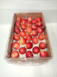 Fresh apple royal gala Chile