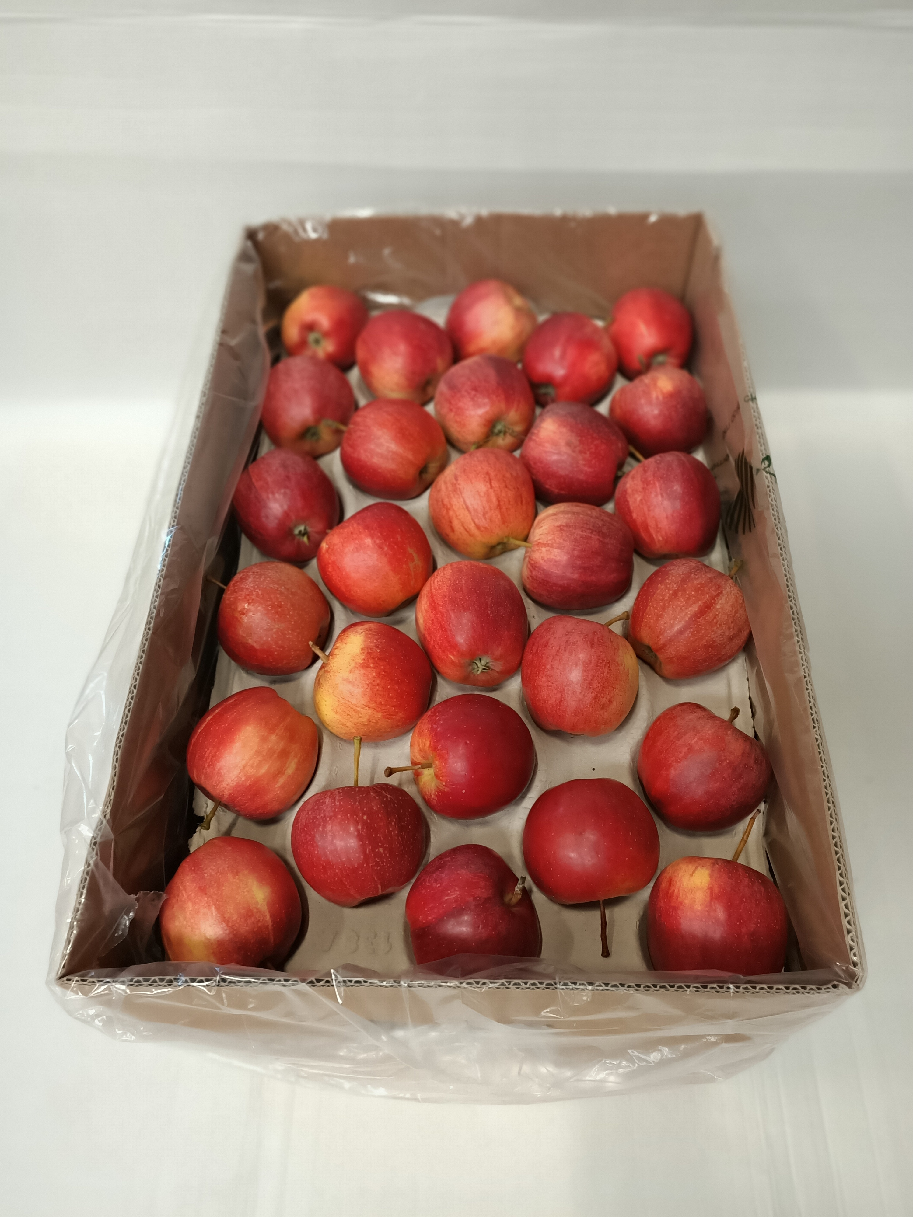 Fresh apple royal gala Chile