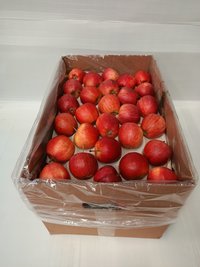 Fresh apple royal gala Chile