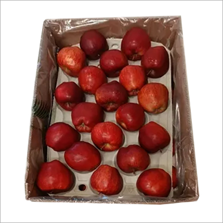 Fresh apple Red Delicious