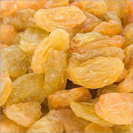 Dried Golden Raisins - Common Cultivation, Sweet Taste, 6 Months Shelf Life | Fat-Free, Cholesterol-Free, High in Antioxidants, Excellent Source of Fiber