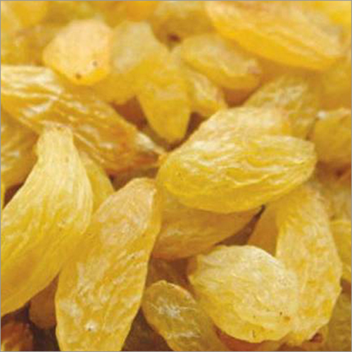 Common Jumbo Golden Raisins
