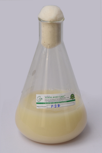 Phosphorus Solubilizing Bacteria Application: Organic Fertilizer