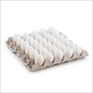 Poultry Egg Tray