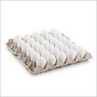 Poultry Paper Egg Tray