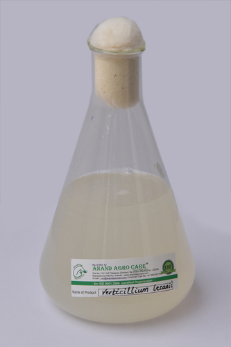 Verticillium Lecanii Packaging: 20 Ltr