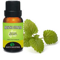 Mentha Citrata Oil