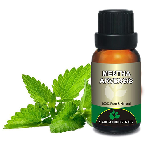 Mentha Arvensis Oil Purity: 100%