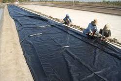 HDPE Black Sheet Geomembrane  Thickness: 0.2 To 4 Mm Shape: Rectangular