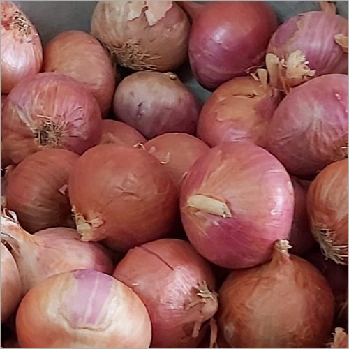 Fresh Onion