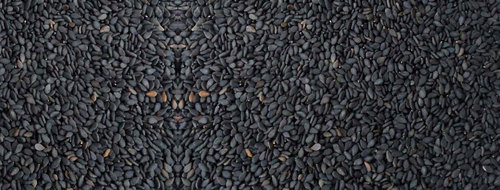 Z Black Sesame Seeds Grade: Export Quality