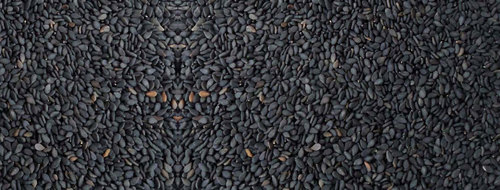 Z Black Sesame Seeds