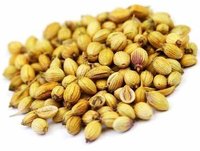 Brown Apeda Certified Coriander Seeds