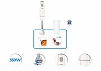 Philips Daily Collection HR1604 550-Watt Steel Rod Hand Blender (White)