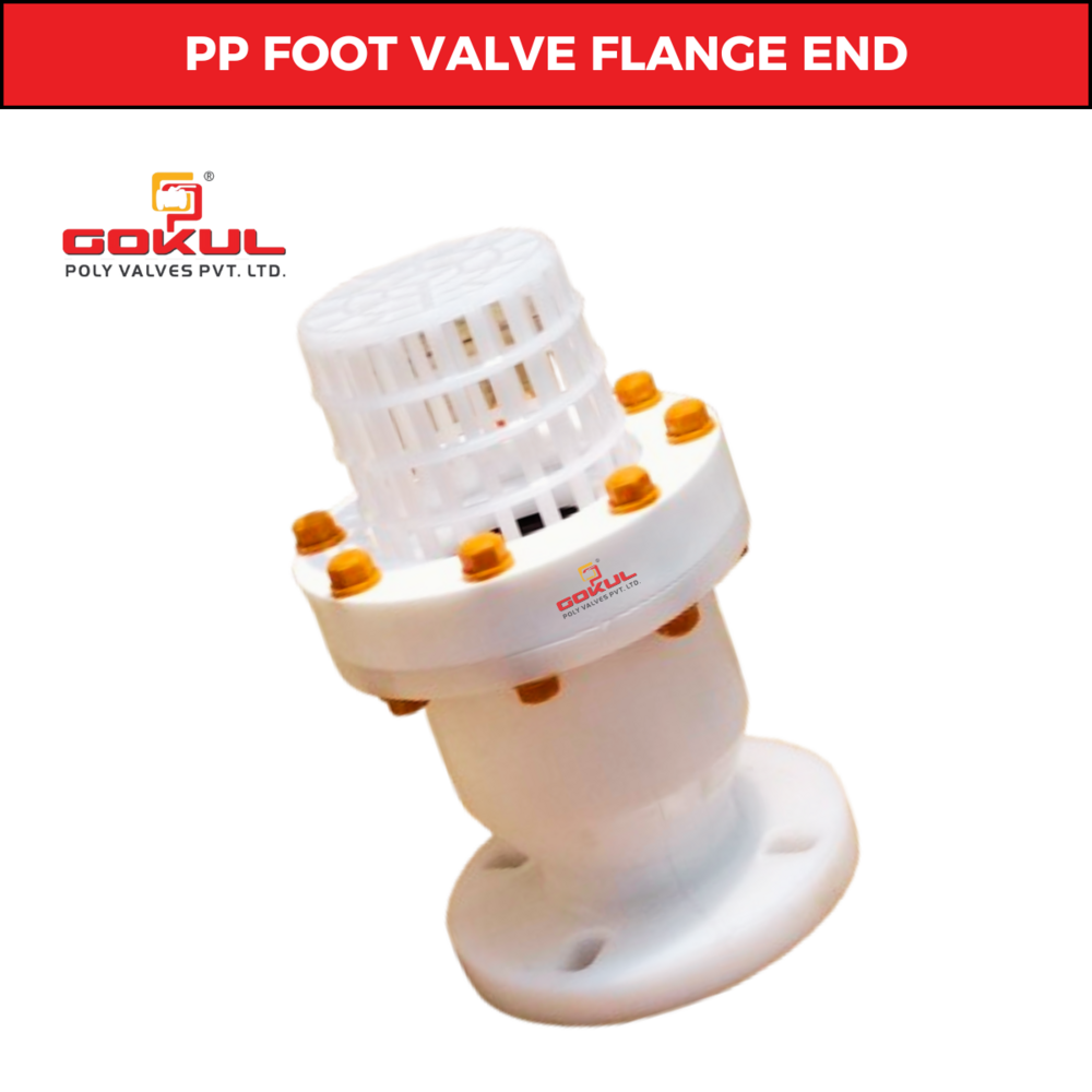PP Flange End Foot Valve