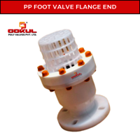 Pp Flanged Foot Valve - Color: White