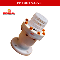Flange End PP Foot Valve