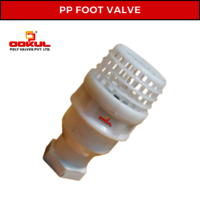 Screwed End PP Foot Valve