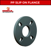 PP Slip On Flange