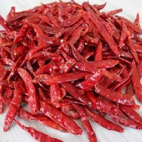 Sanam Stemless Red Chili