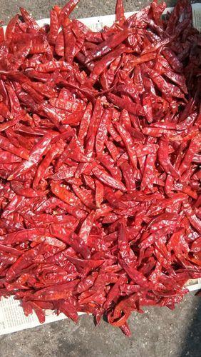 Sanam Stemless Red Chili