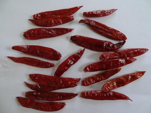 Sanam Stemless Red Chili