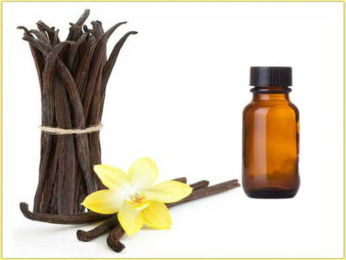 Vanilla fragrance oil