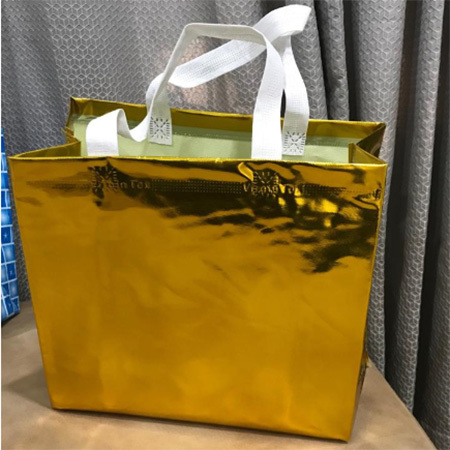 Large Gift Bag By BHARTI PACKERS
