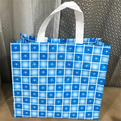 Printed Gift Bag By BHARTI PACKERS