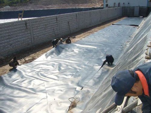 Hdpe Land Filler Geomembrane Sheet  For River Ponds Thickness: 1 To 7 Mm