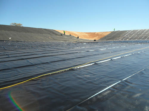 Ldpe Orchand Pond Geomembrane Thickness: 400-1500 Micron Shape: Rectangular