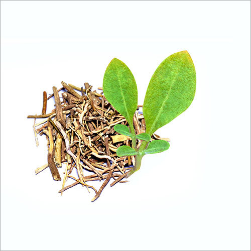 Ashwagandha Extract