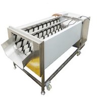 Potato Washer / Peeling Machine