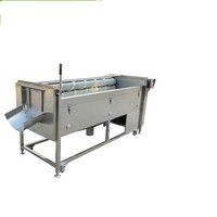 Potato Peeling machine