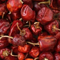 Whole Mundu Chilli