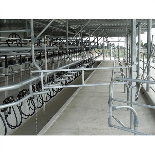 High Efficiency Dairy Farm Milking Parlor