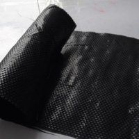 Needle Punched Woven Monofilament Geotextile